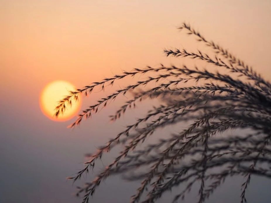 Featured image of post 强大的 search 工具 - ag