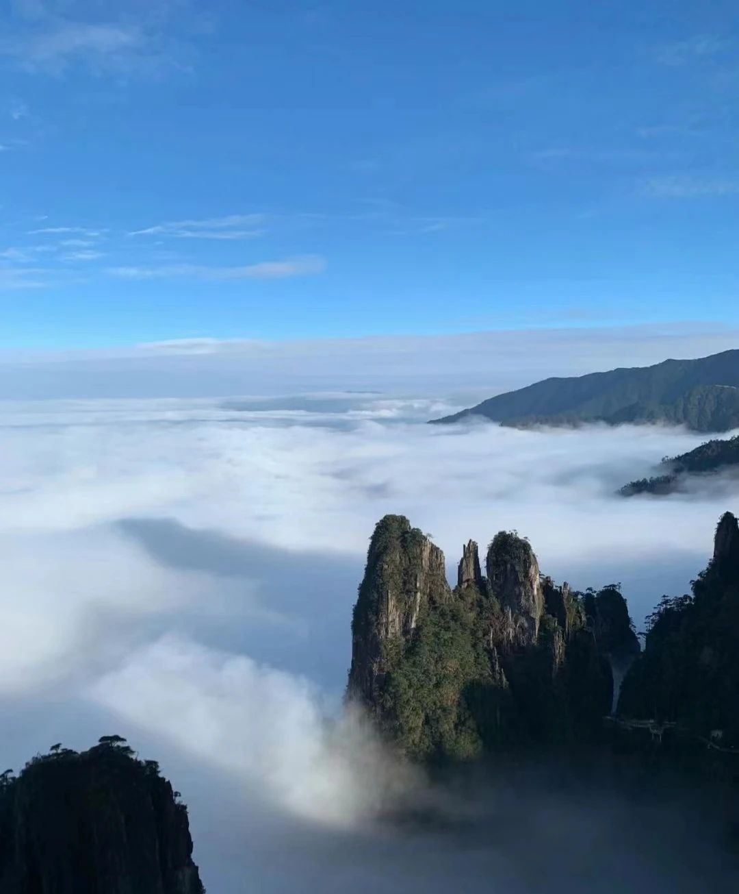 Featured image of post Tracing 初步理解