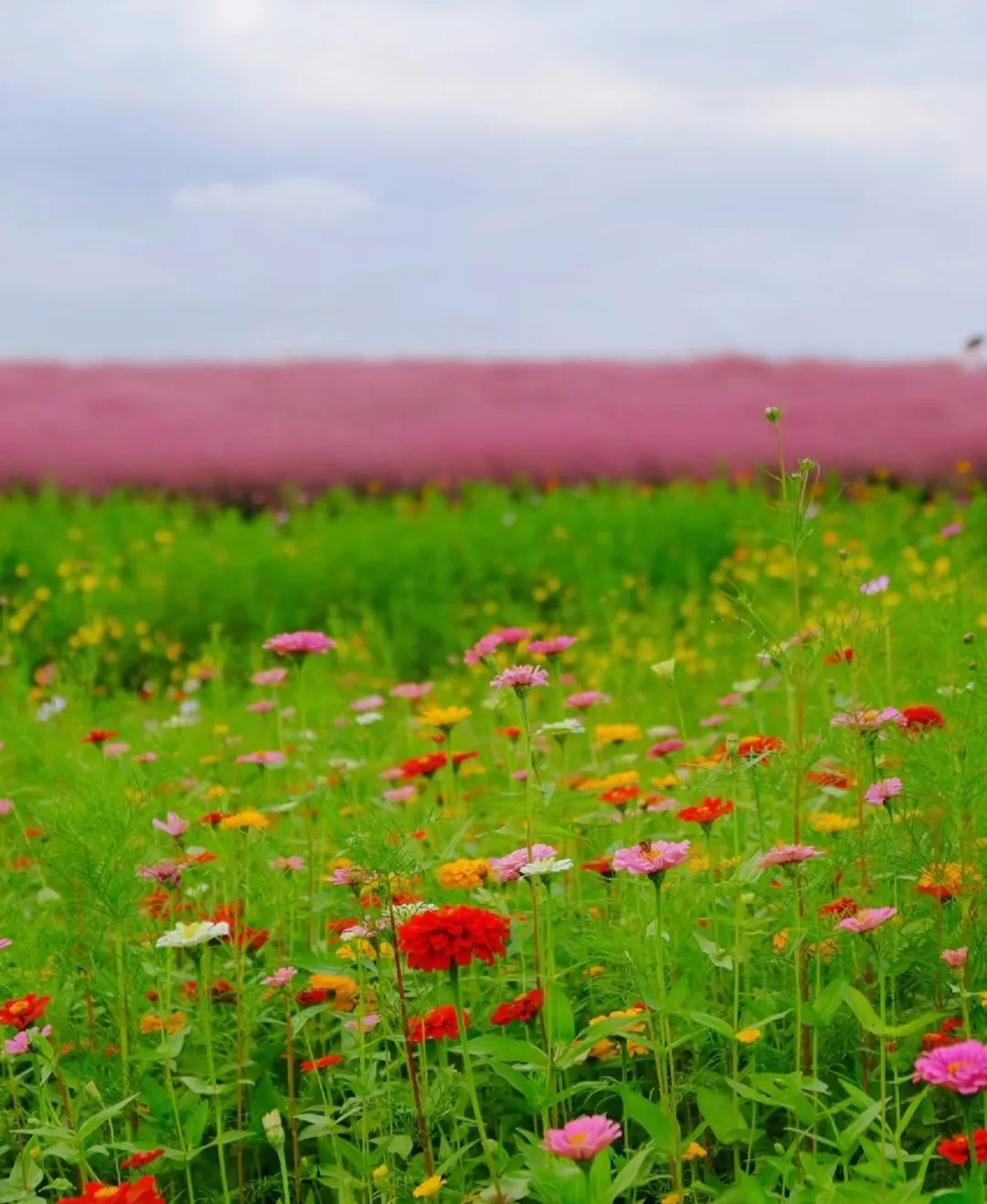 Featured image of post 剪藏