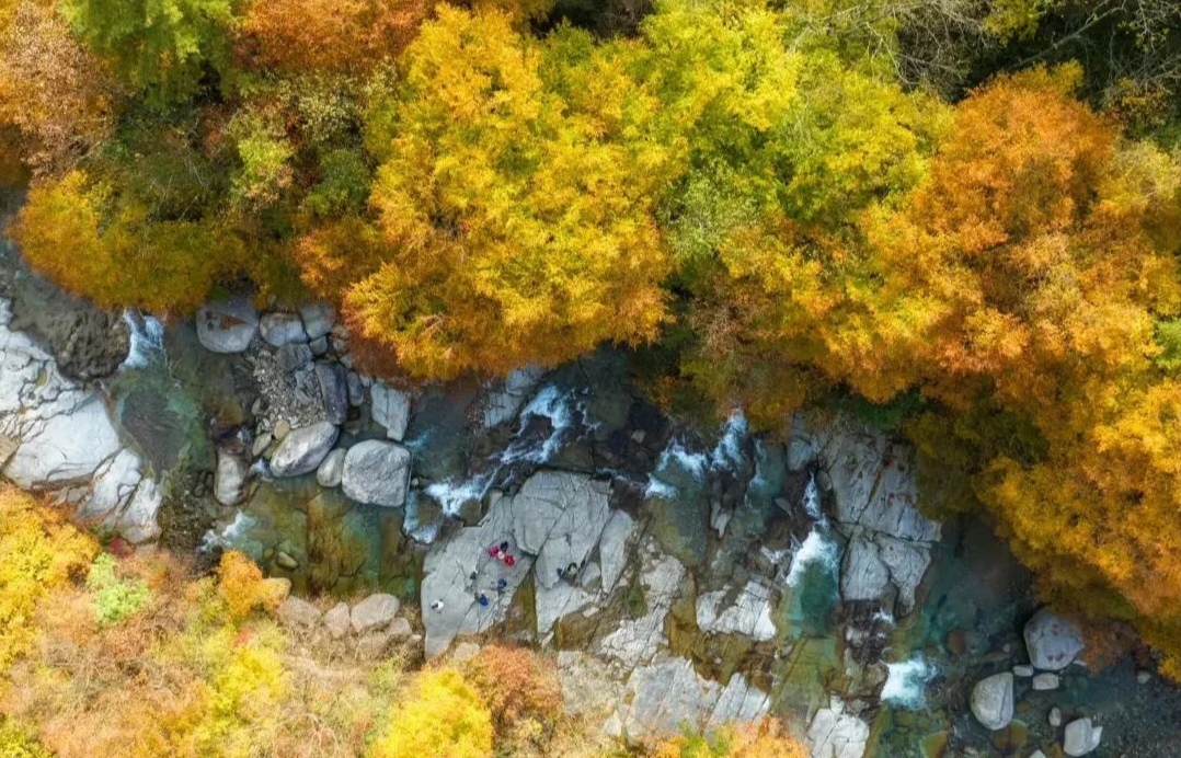 Featured image of post 【今日头条】对AI“狠”点准确率更高？NASA登月飞船震撼发布，联想卷轴本直播翻车