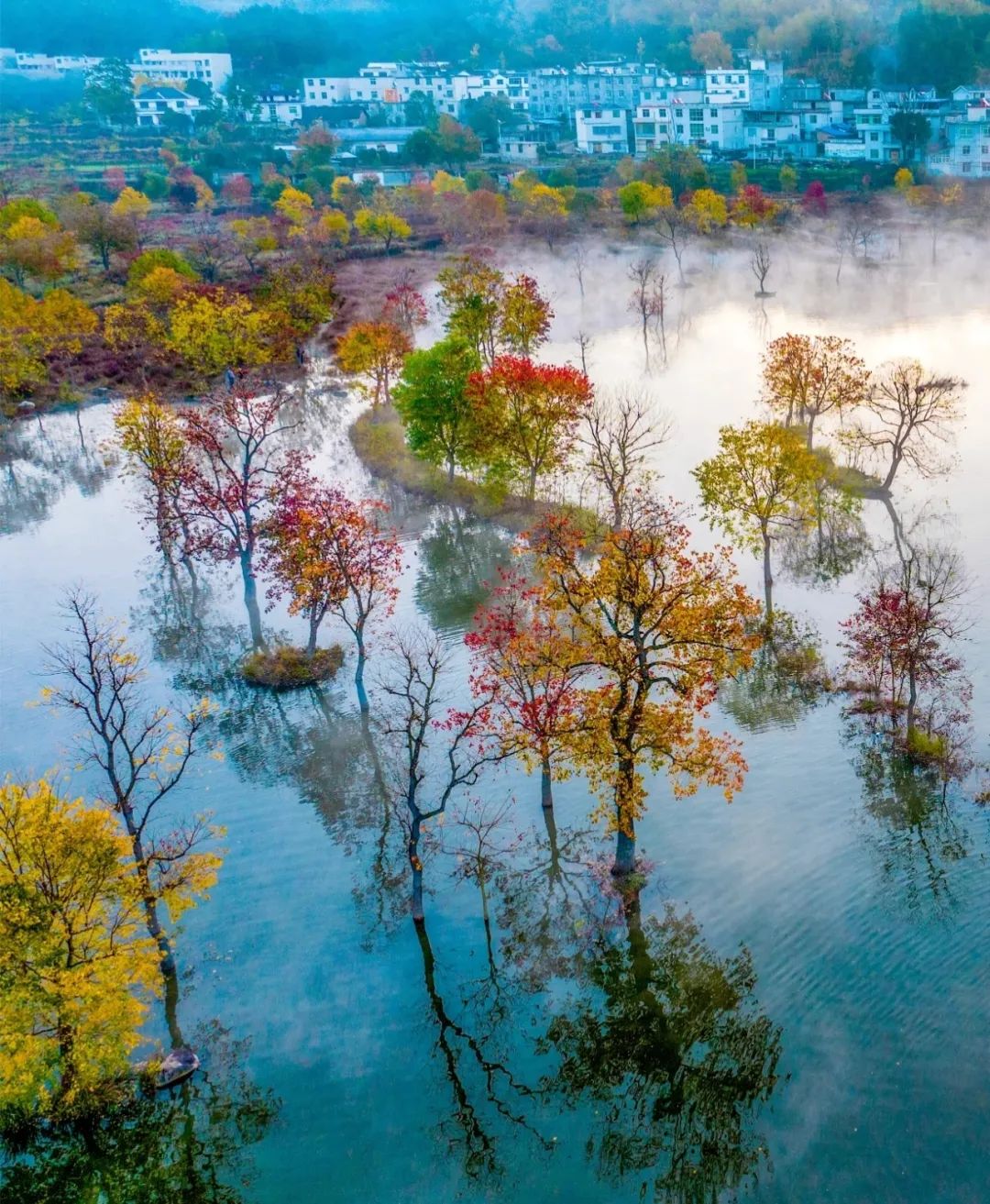 Featured image of post Claude AI 全球宕机，ISS 首次医疗大撤离，英伟达 5090 价格起飞