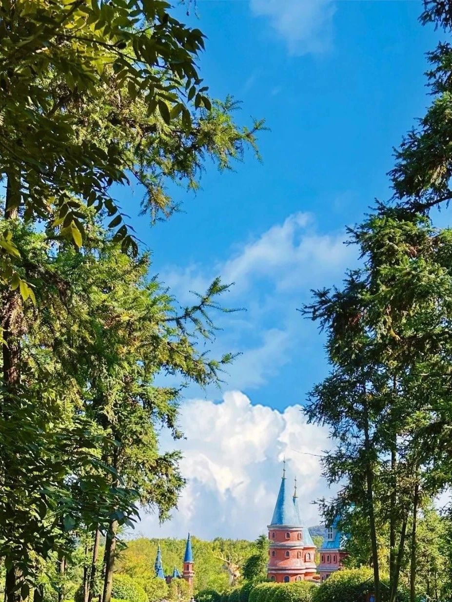 Featured image of post AI 颠覆办公体验与法医定论，人体内发现奇异新生命结构