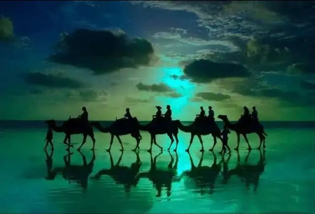 Featured image of post 苹果任命新AI主管；三星发布三折叠屏手机；NASA在小行星样本中发现生命基石