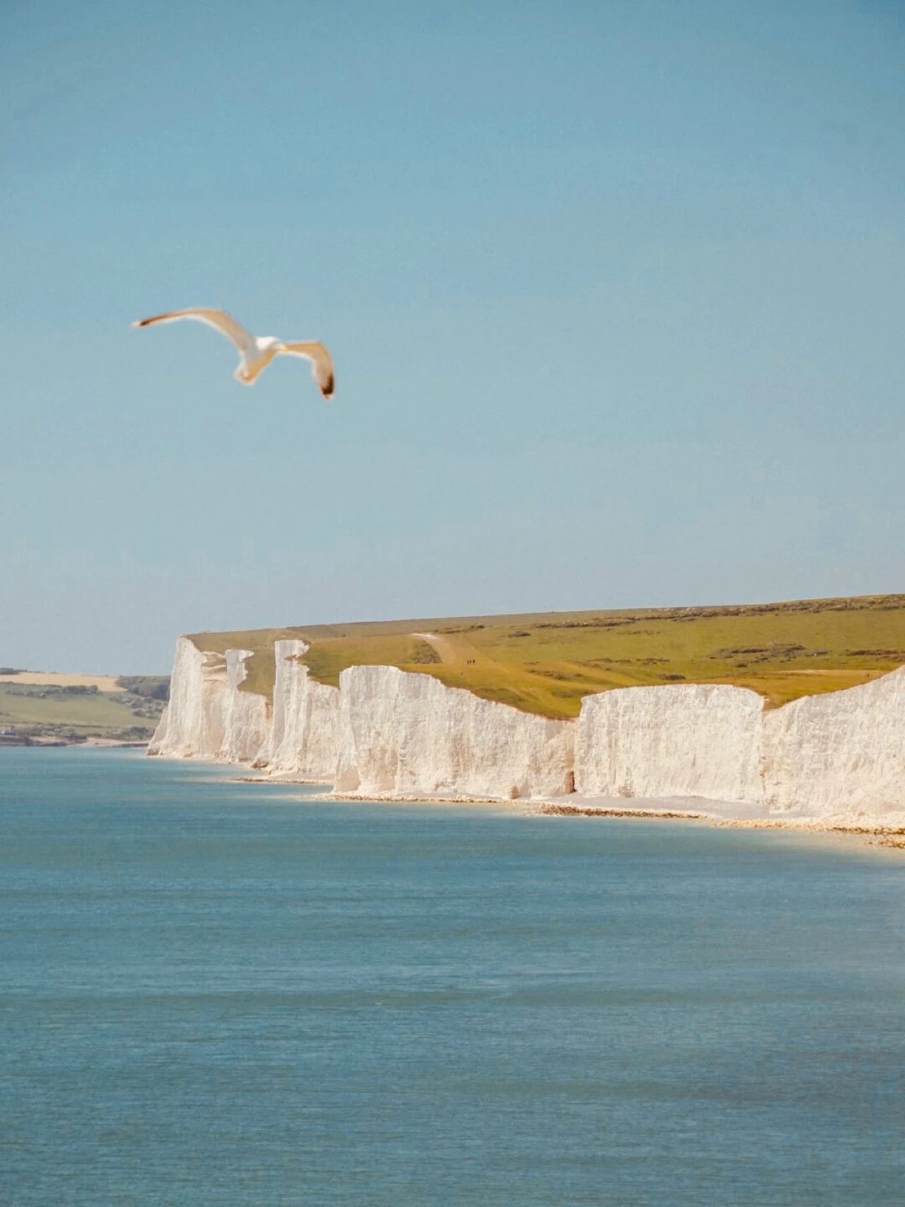Featured image of post 苹果加速AI收购布局，三星S26旗舰定档，SpaceX星链在轨总数突破9600颗