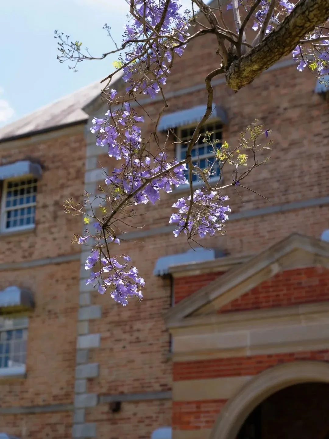 Featured image of post 微软 Copilot 爆发隐私漏洞；三星 Bixby 集成 Perplexity 变身全能 AI；撒哈拉发现新型巨型棘龙化石