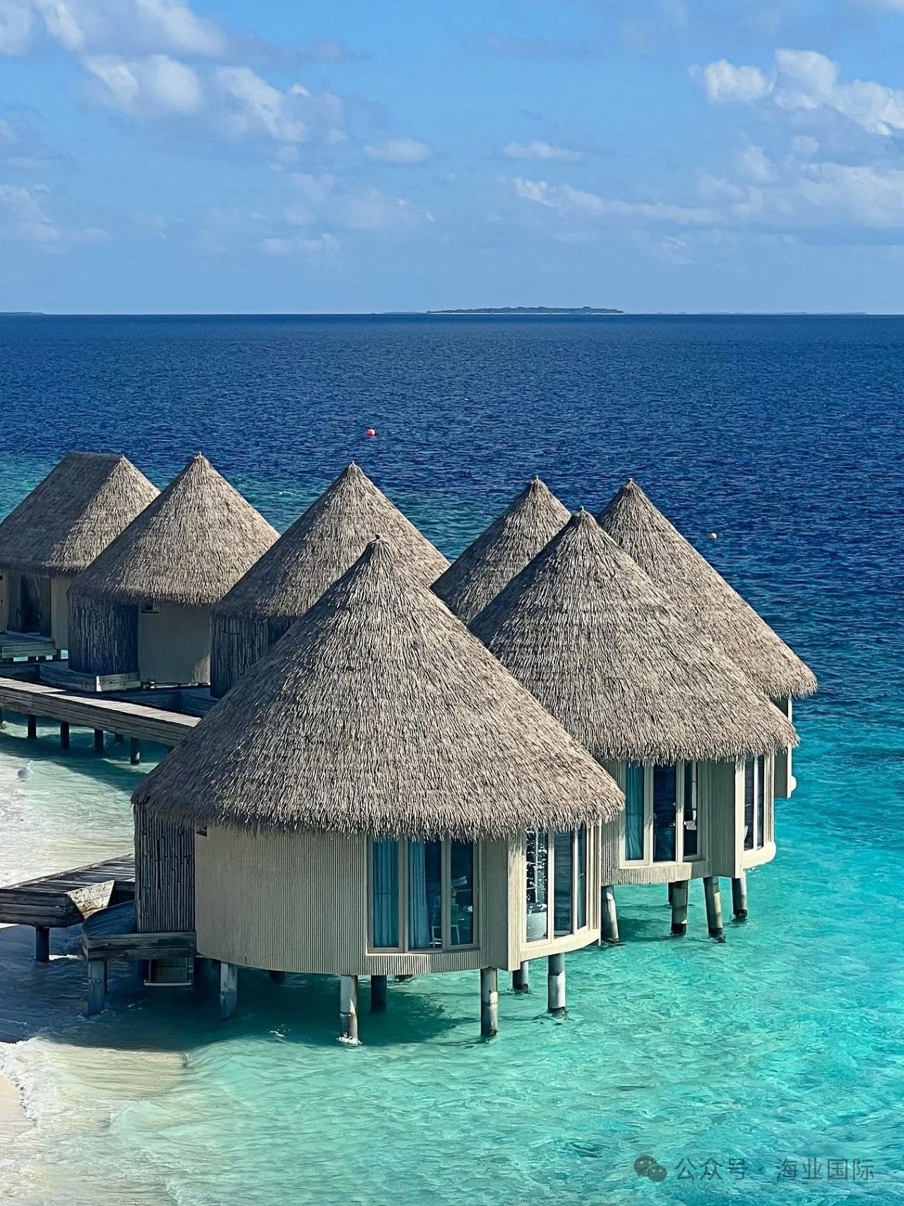 Featured image of post AI 助手全面融入操作系统，土卫二发现生命最强信号，科学家发现逆转细胞衰老新方法