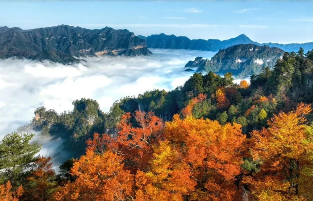 Featured image of post 传苹果芯片主管将离职影响AI战略；SpaceX星链威胁哈勃望远镜；AI浏览器被指华而不实