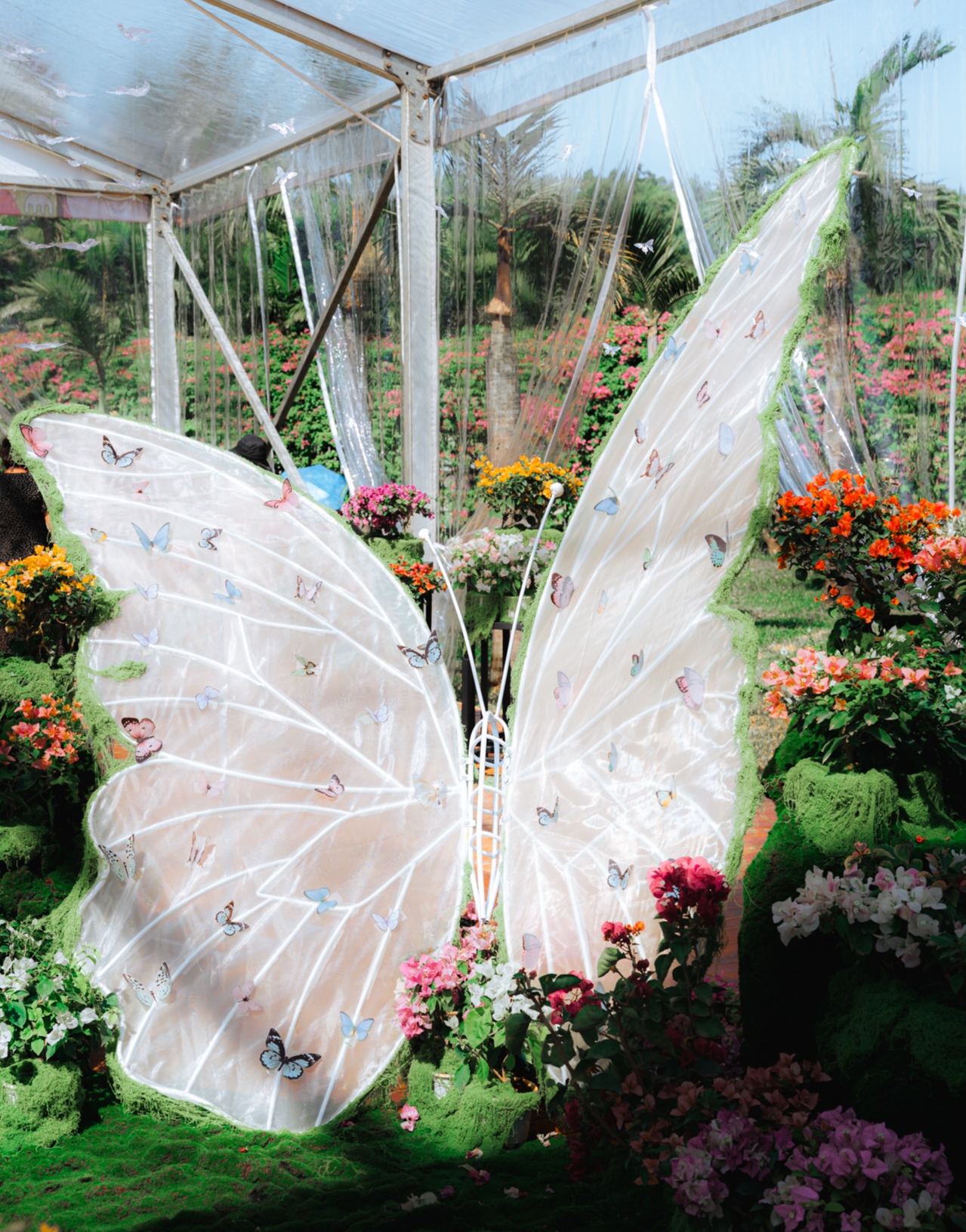 Featured image of post 苹果发布 M5 芯片新品与折叠屏手机细节；科学家发现 200 岁长寿蛋白