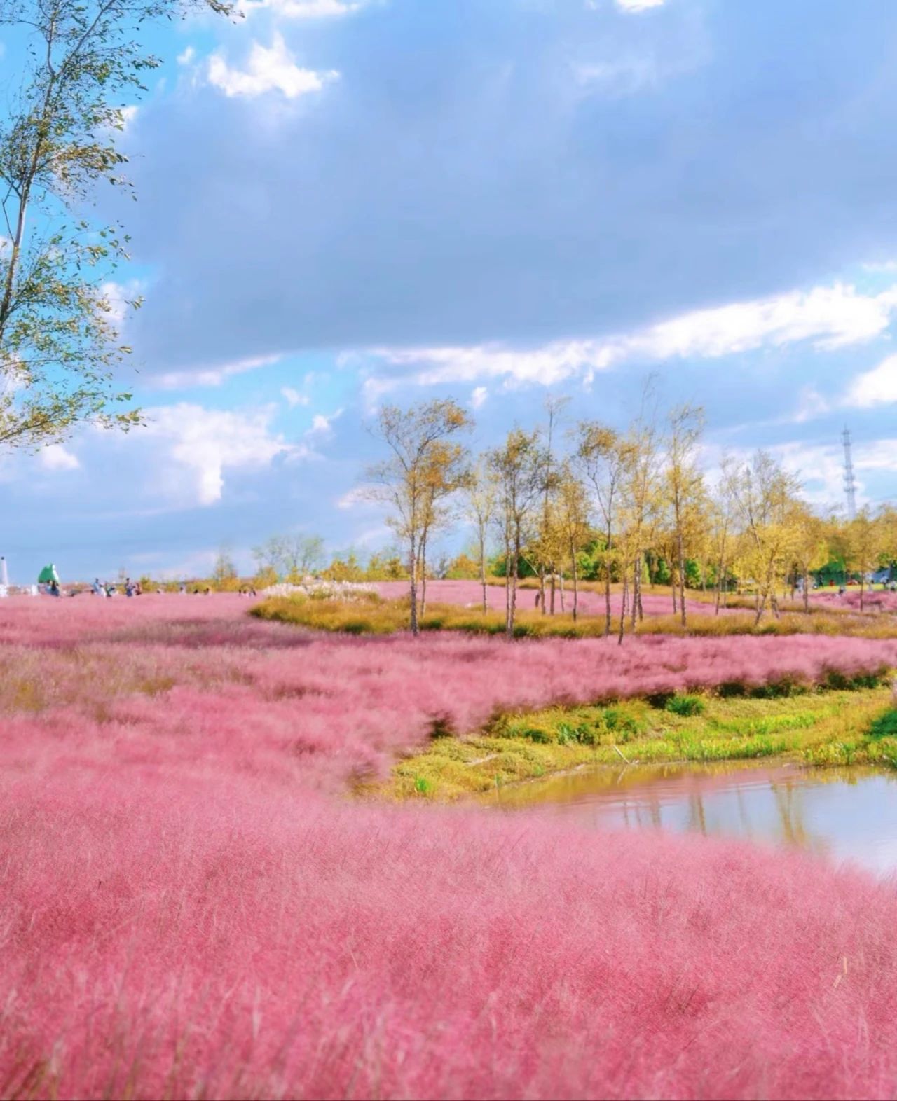 Featured image of post 三星 AI 全面接管手机体验，130 亿光年外的宇宙信号震撼降临