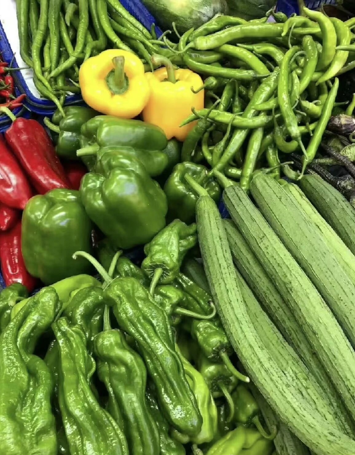 Featured image of post AI 助手进入全员免费时代，SpaceX 猎鹰火箭异常停飞，木星“变小了”？