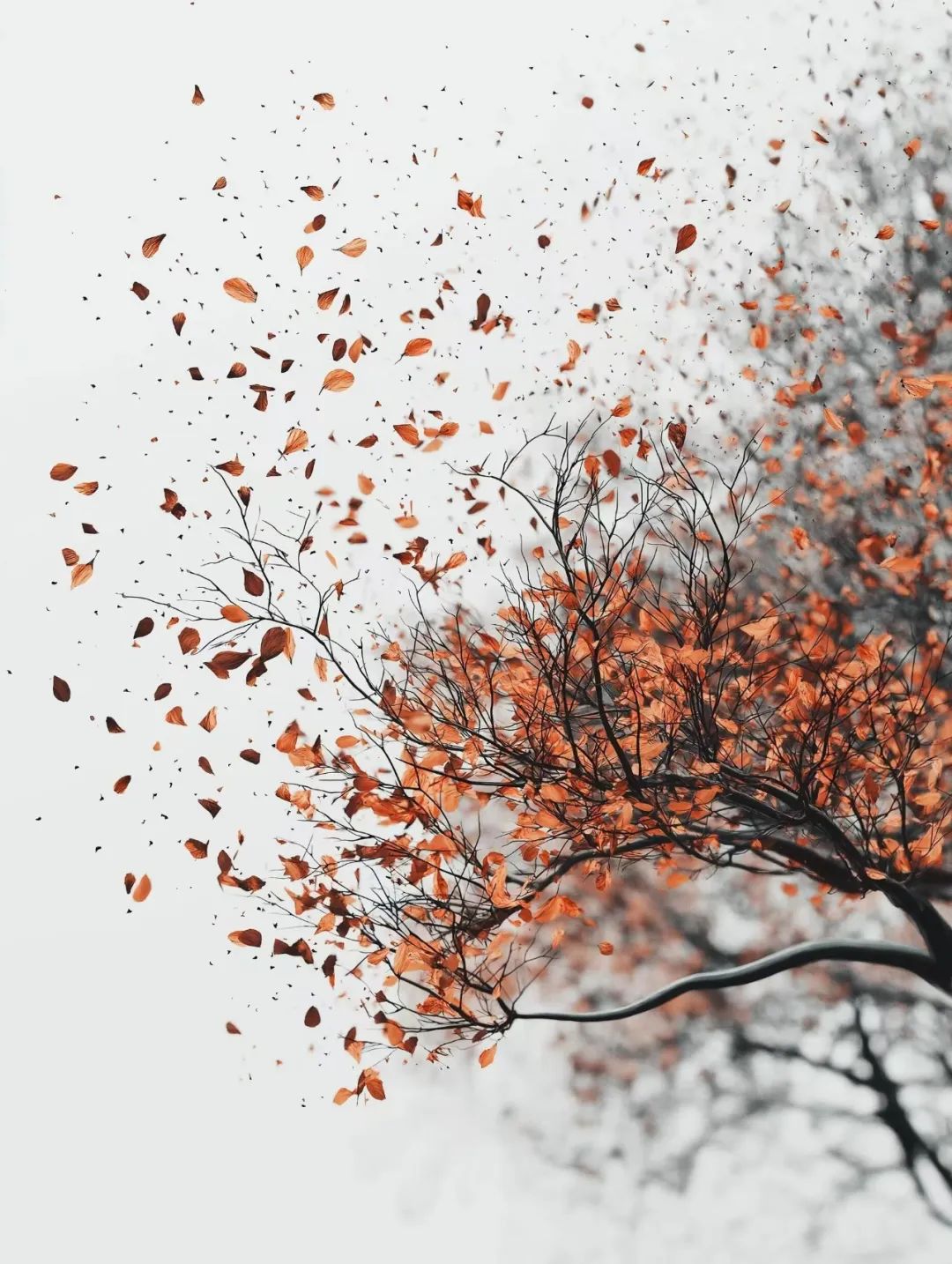 Featured image of post 今日科技头条：Windows/iOS 紧急更新修复高危漏洞，物理学家观测到“流动电子”奇迹