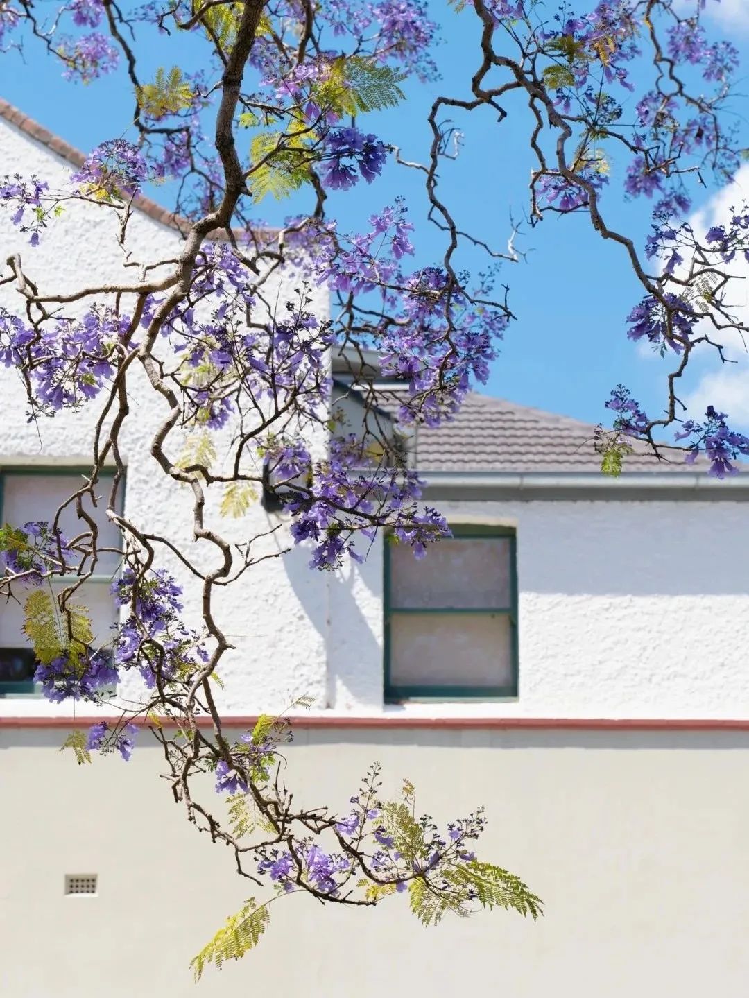 Featured image of post YouTube 歌词或入付费墙，AI 深耕大脑地图与火星导航，深空现神秘 7 小时信号