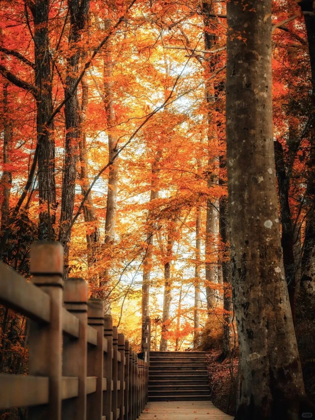 Featured image of post Claude code 接入 Litellm