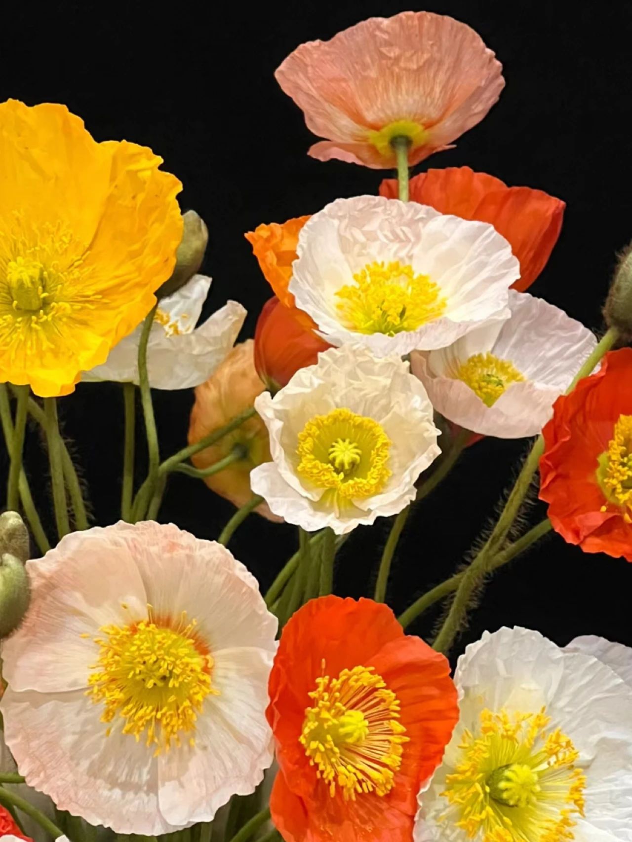 Featured image of post 优化 .git 目录过大的问题