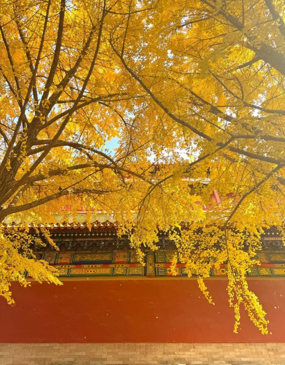 Featured image of post single box 魔法