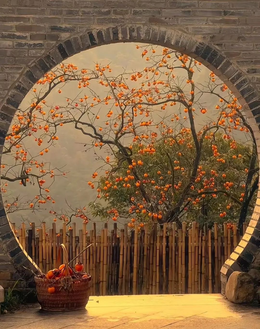 Featured image of post iPhone 紧急更新警报与 Artemis II 探月计划启程：今日科技与科学大事件全览