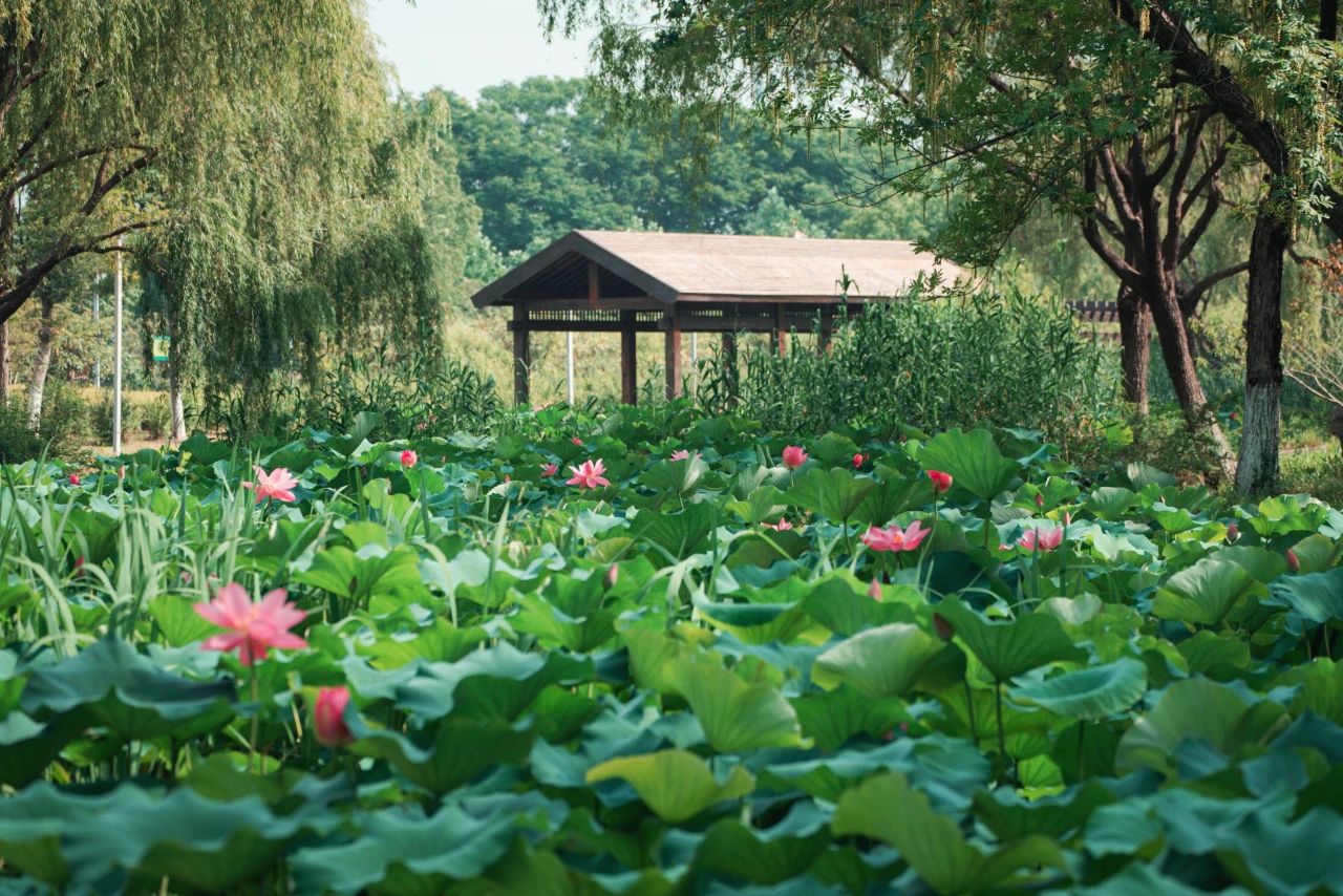 Featured image of post 三星/苹果 AI 争霸加速，量子计算迎“圣杯”材料，火星定位技术获突破