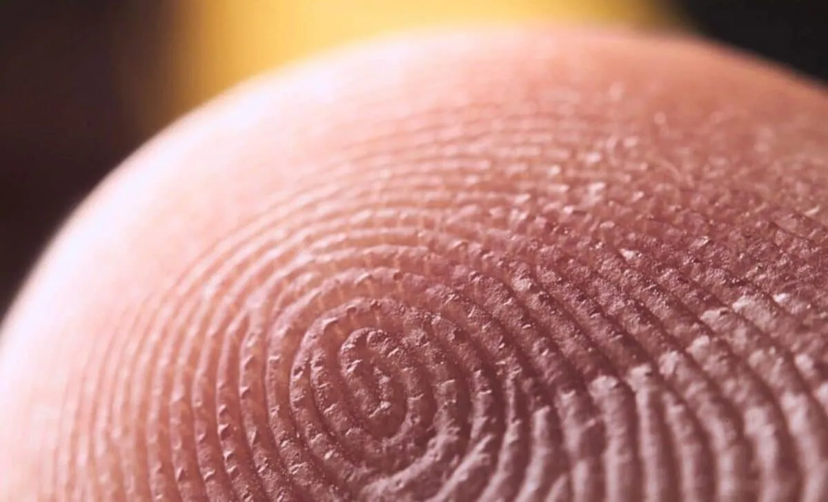 AI Fingerprint Analysis