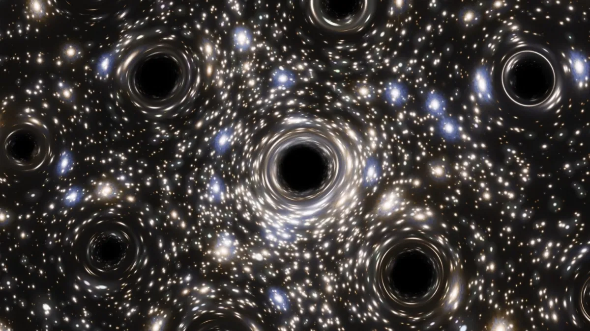 Black Hole Swarm