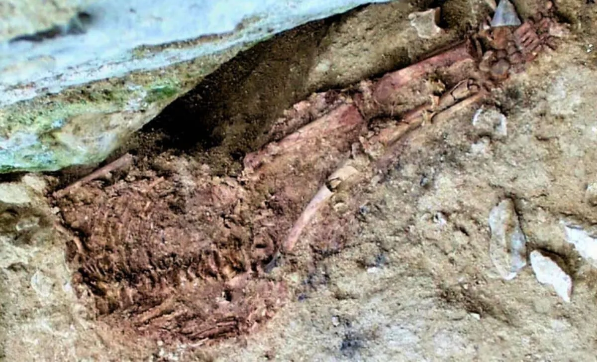 Archaeology and Science