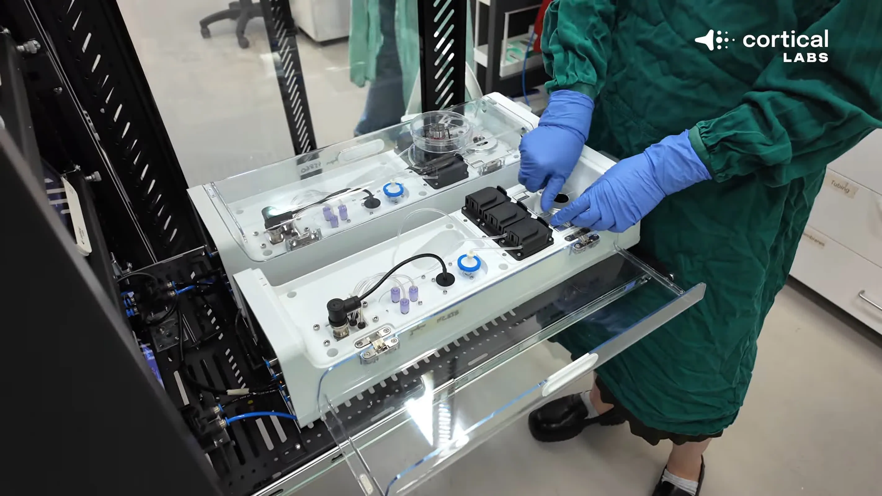 Biological Computing Chip